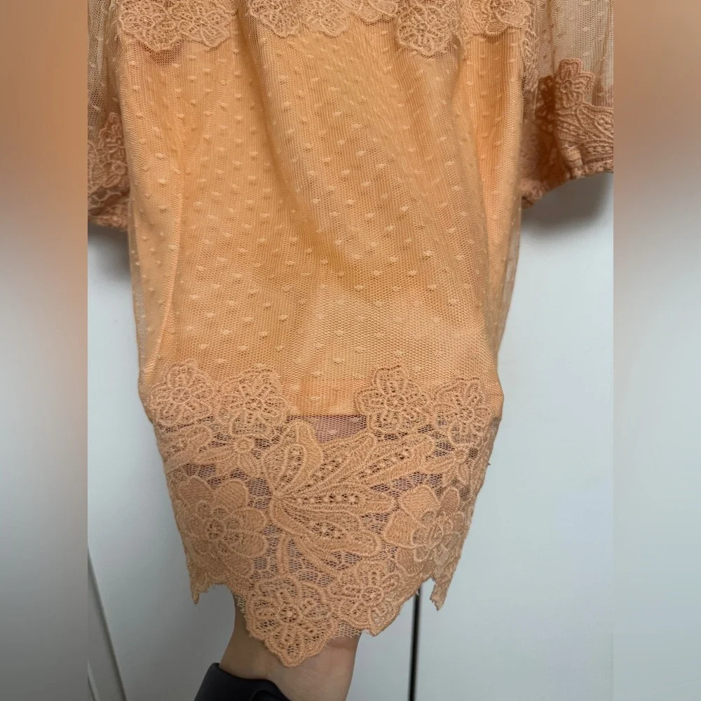 Story On Delicate Lace & Dot Mesh Puff-Sleeve Blouse in Rust SizeM - Picture 4 of 7